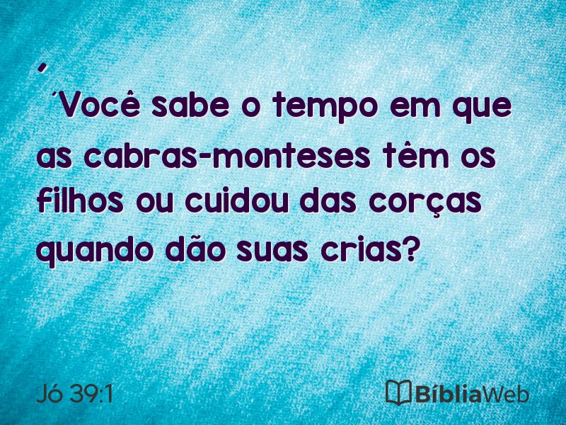 Jó 39:1 em imagem para compartilhar