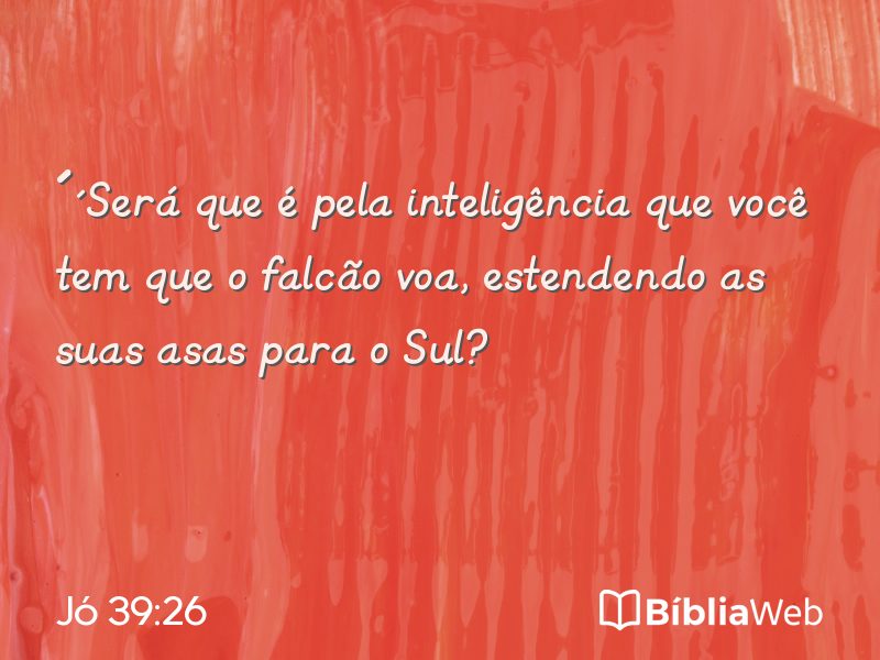 Jó 39:26 em imagem para compartilhar