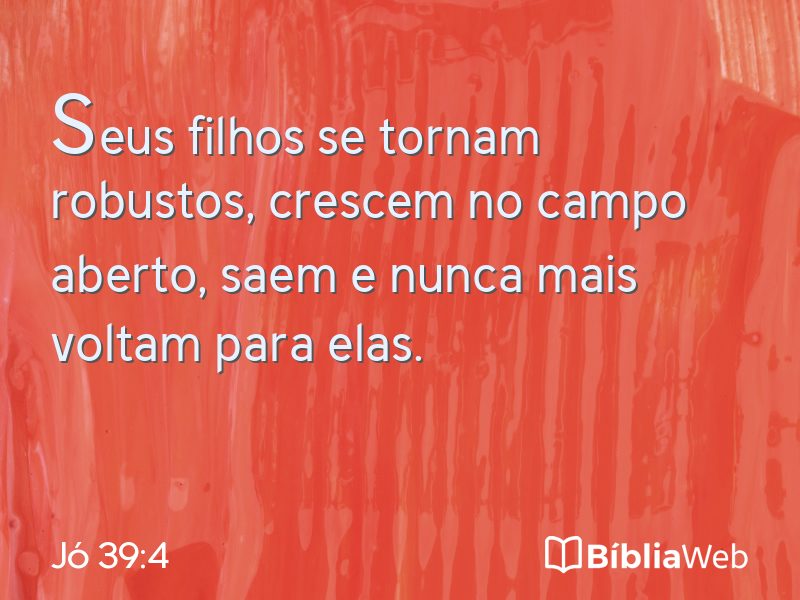 Jó 39:4 em imagem para compartilhar