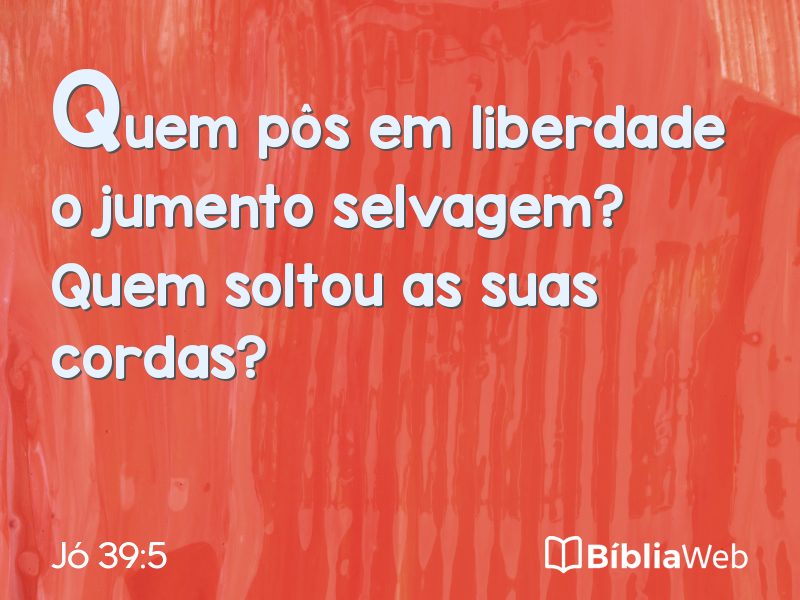 Jó 39:5 em imagem para compartilhar