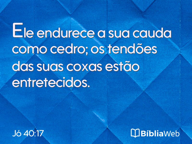 Jó 40:17 em imagem para compartilhar