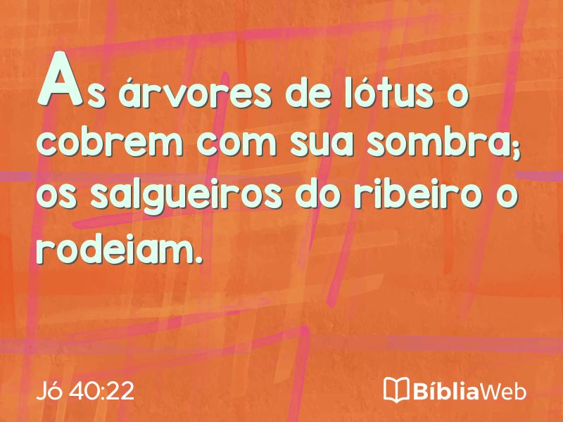 Jó 40:22 em imagem para compartilhar