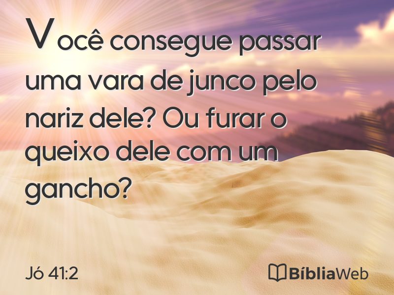 Jó 41:2 em imagem para compartilhar