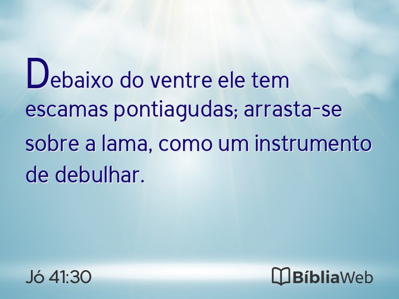 Jó 41:30 em imagem para compartilhar