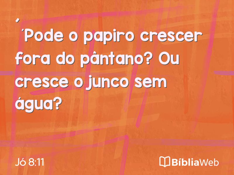 Jó 8:11 em imagem para compartilhar