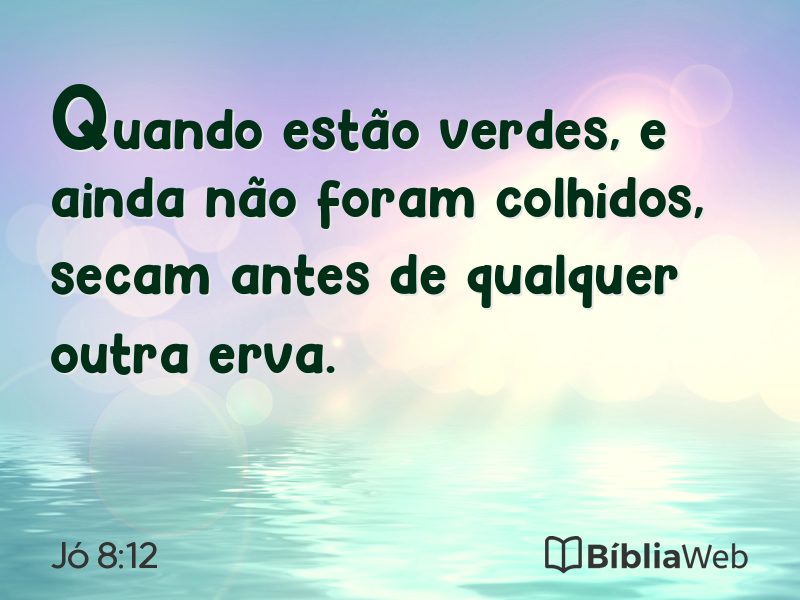 Jó 8:12 em imagem para compartilhar