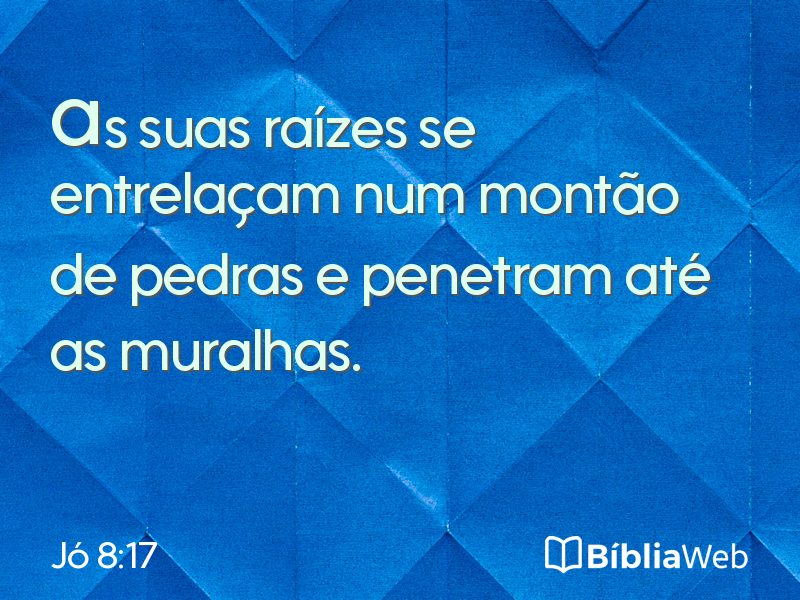 Jó 8:17 em imagem para compartilhar