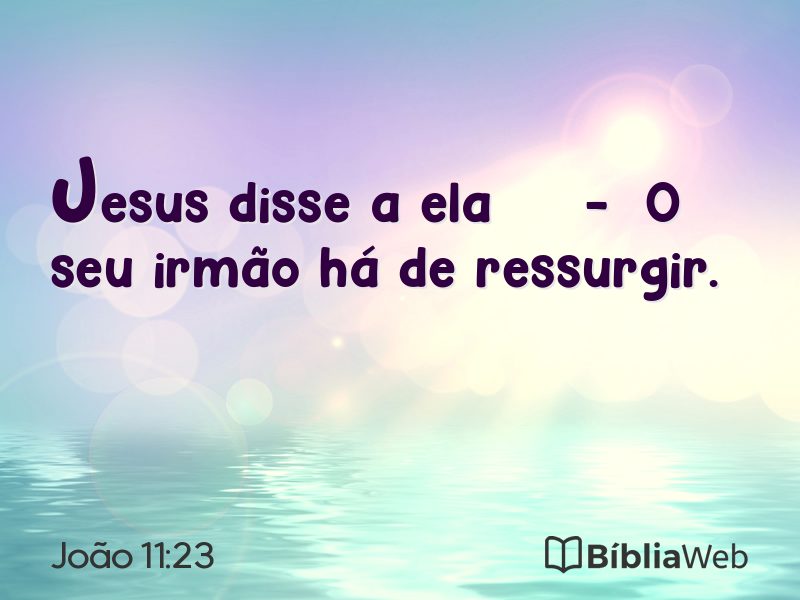 João 11:23 em imagem para compartilhar
