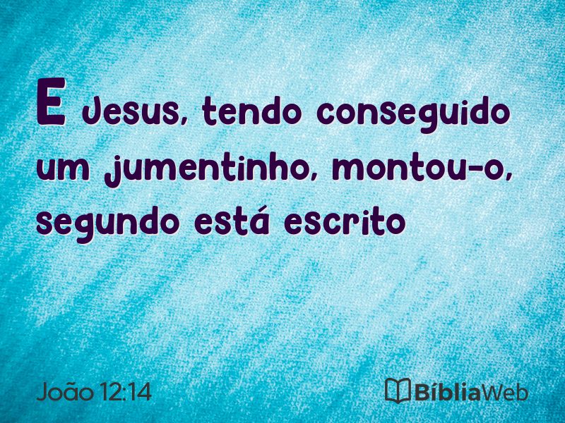 João 12:14 em imagem para compartilhar
