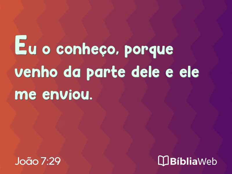 João 7:29 em imagem para compartilhar