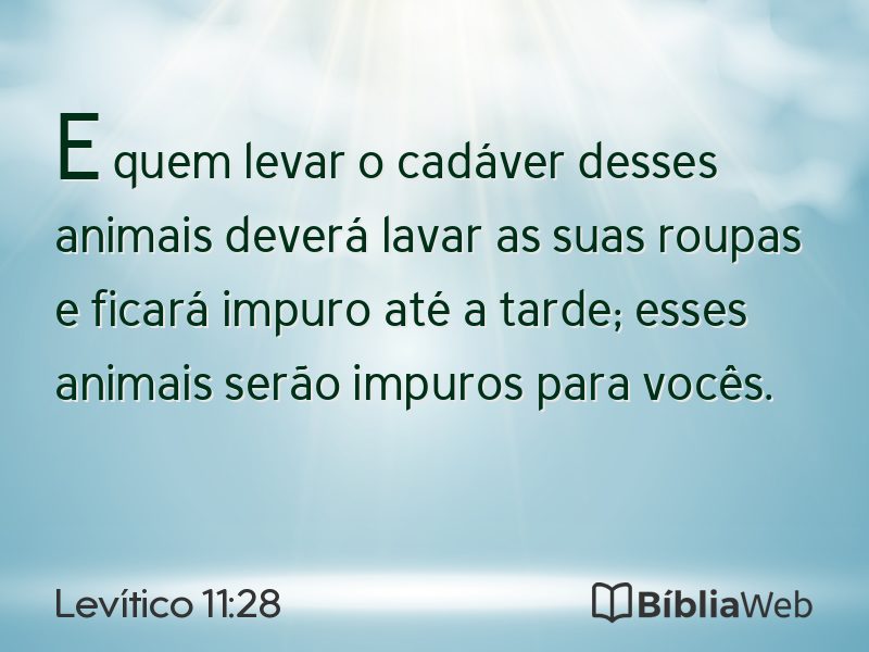Levítico 11:28 em imagem para compartilhar