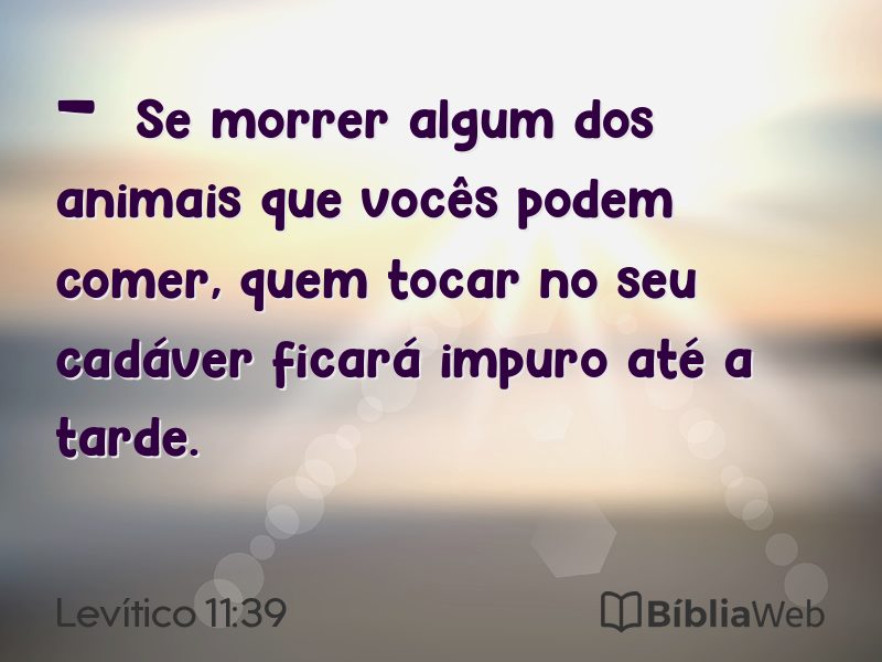 Levítico 11:39 em imagem para compartilhar