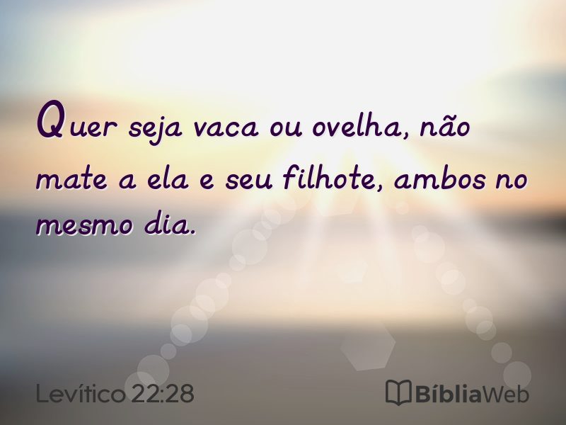 Levítico 22:28 em imagem para compartilhar