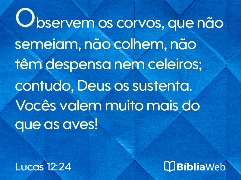 Lucas 12:24 em imagem para compartilhar
