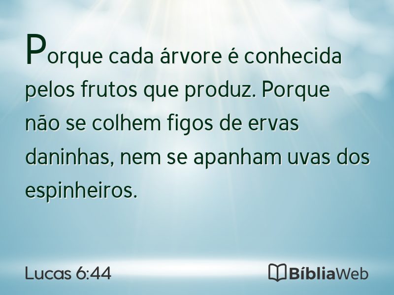 Lucas 6:44 em imagem para compartilhar