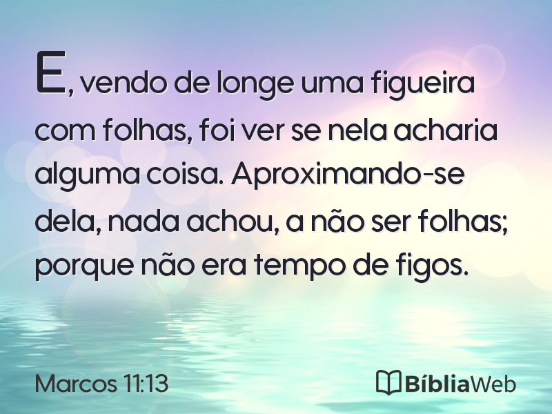 Marcos 11:13 em imagem para compartilhar