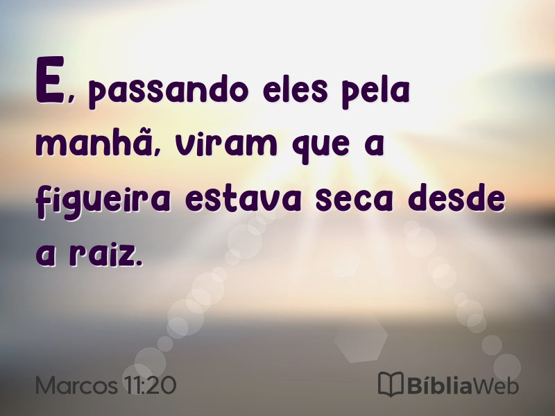 Marcos 11:20 em imagem para compartilhar