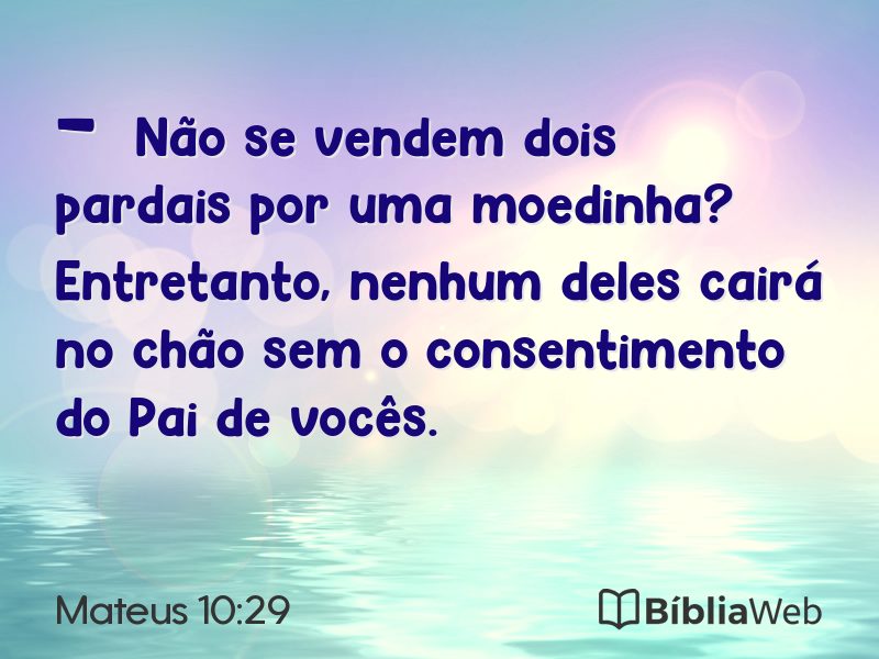 Mateus 10:29 em imagem para compartilhar