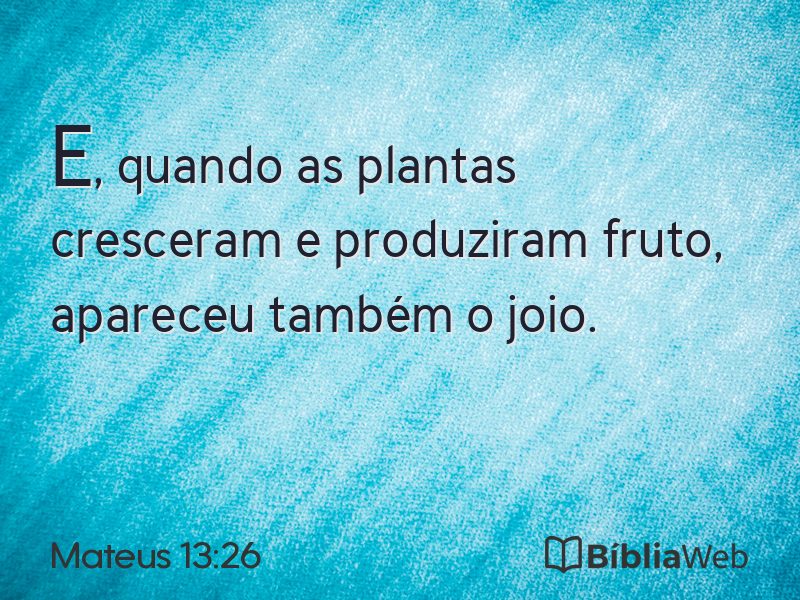 Mateus 13:26 em imagem para compartilhar