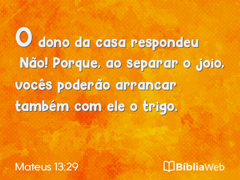 Mateus 13:29 em imagem para compartilhar