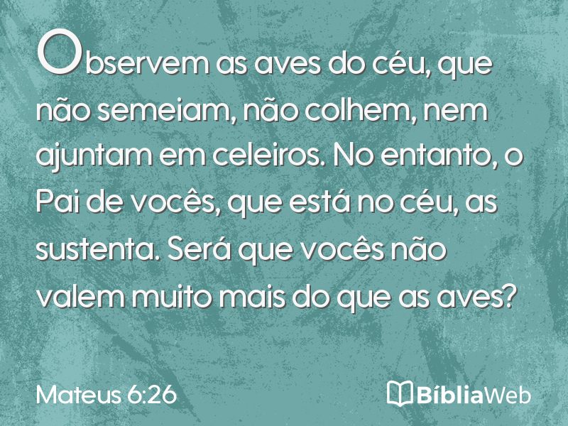 Mateus 6:26 em imagem para compartilhar