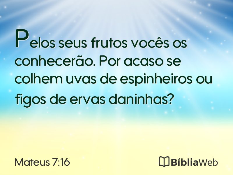 Mateus 7:16 em imagem para compartilhar