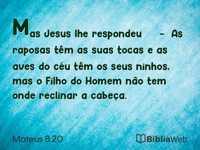 Mateus 8:20 em imagem para compartilhar