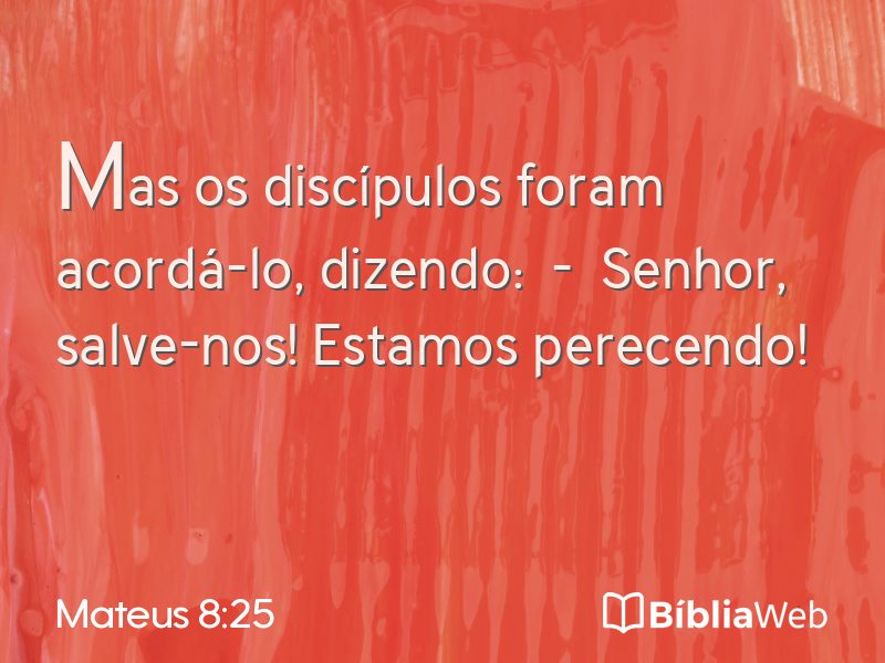 Mateus 8:25 em imagem para compartilhar