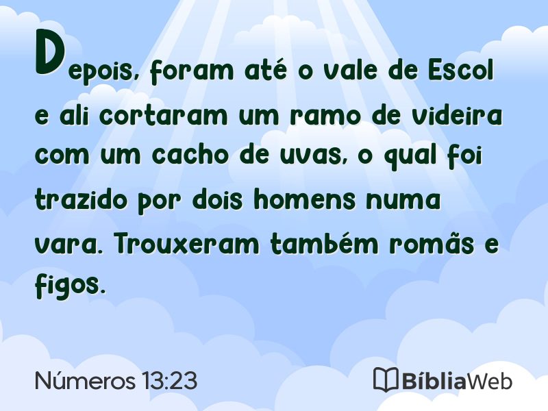 Números 13:23 em imagem para compartilhar