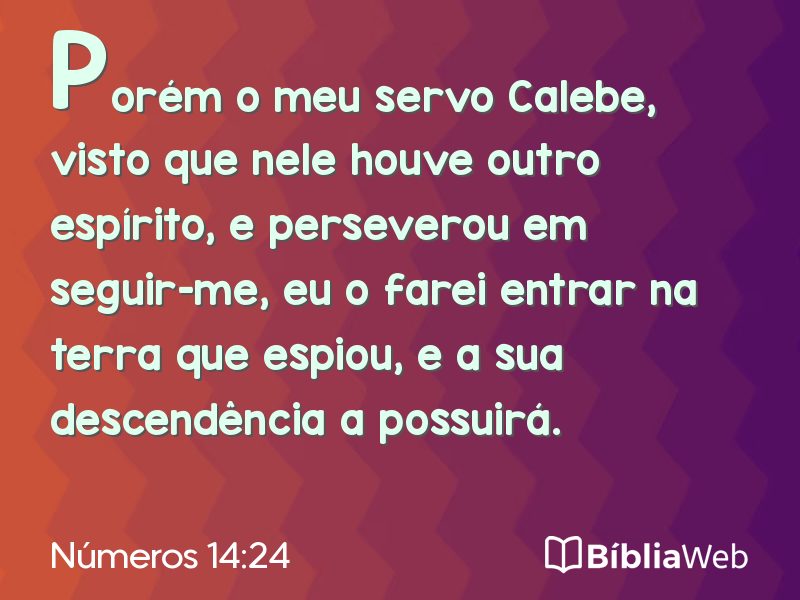 Números 14:24 em imagem para compartilhar