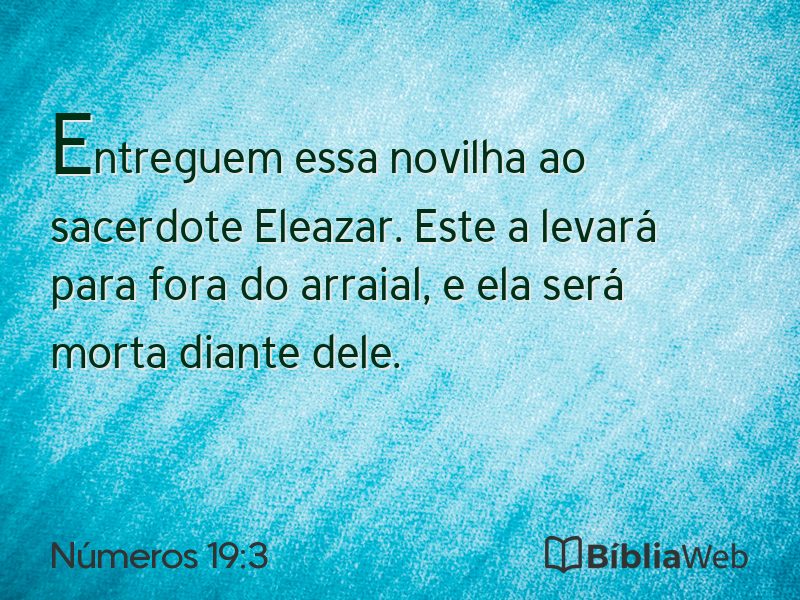 Números 19:3 em imagem para compartilhar