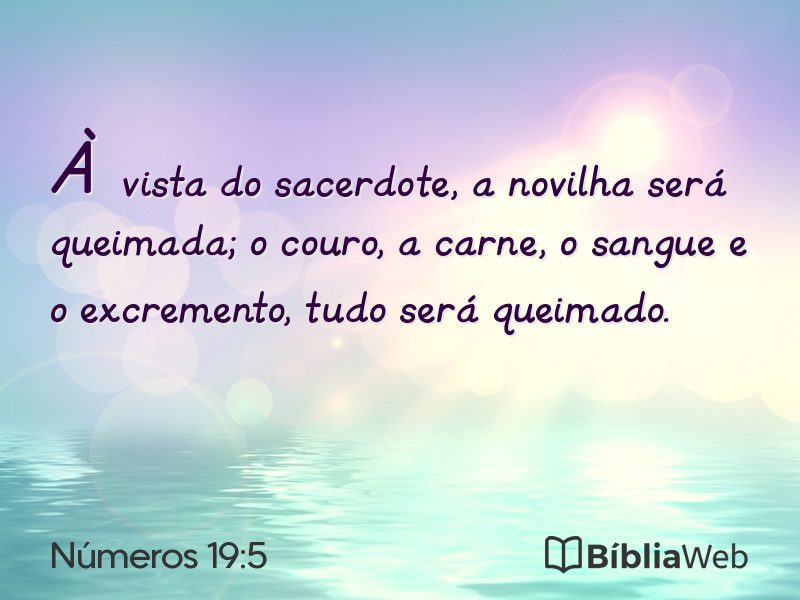 Números 19:5 em imagem para compartilhar