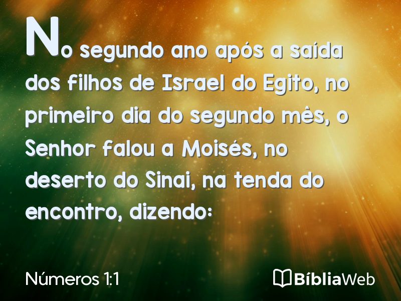 Números 1:1 em imagem para compartilhar