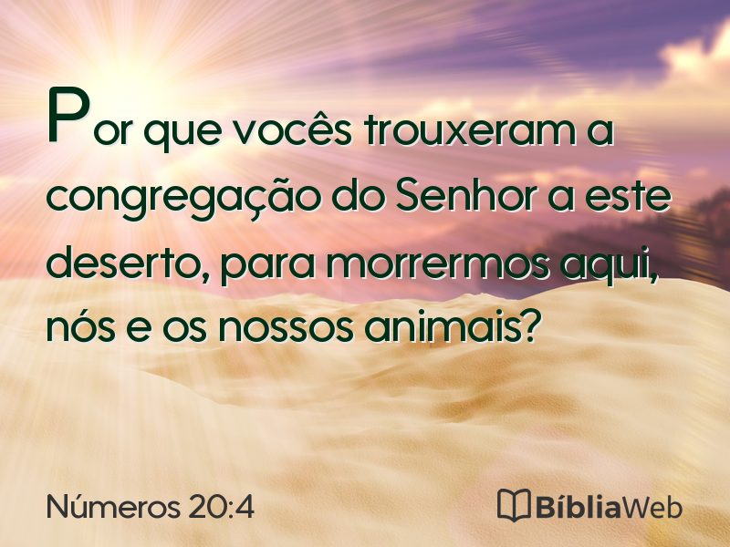 Números 20:4 em imagem para compartilhar