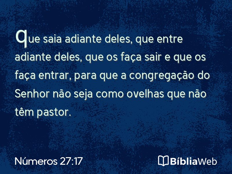 Números 27:17 em imagem para compartilhar