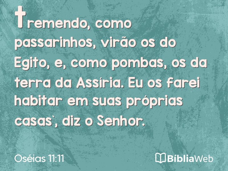 Oséias 11:11 em imagem para compartilhar
