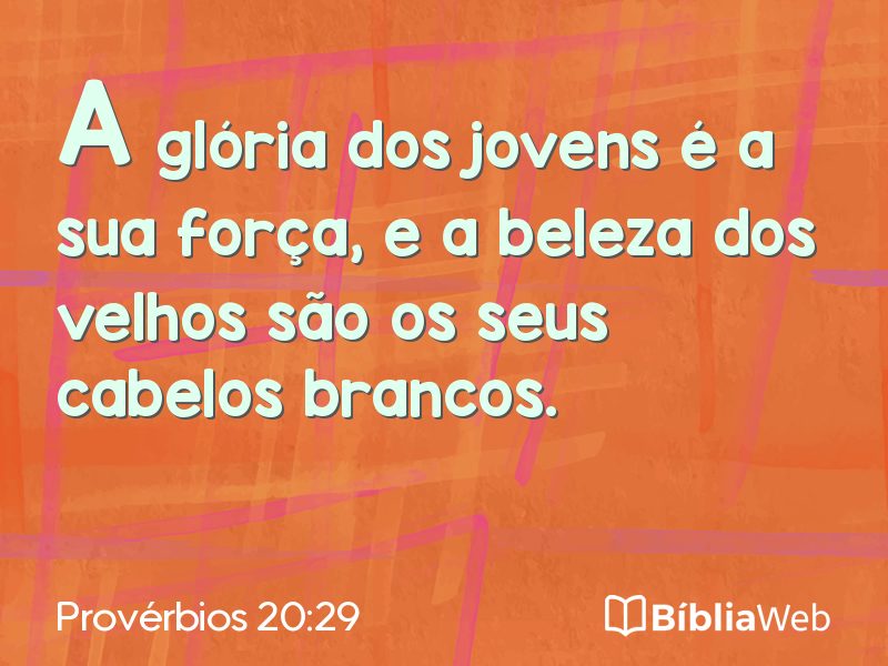 Provérbios 20:29 em imagem para compartilhar