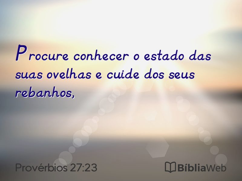 Provérbios 27:23 em imagem para compartilhar
