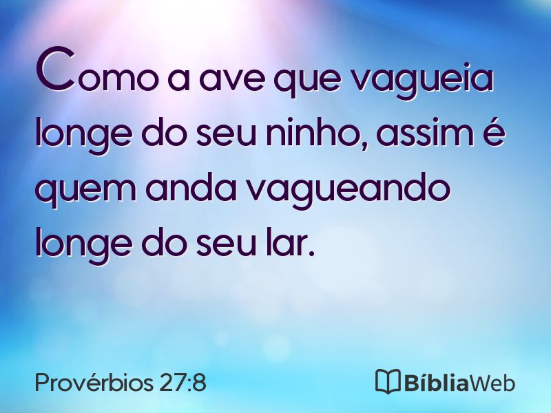 Provérbios 27:8 em imagem para compartilhar