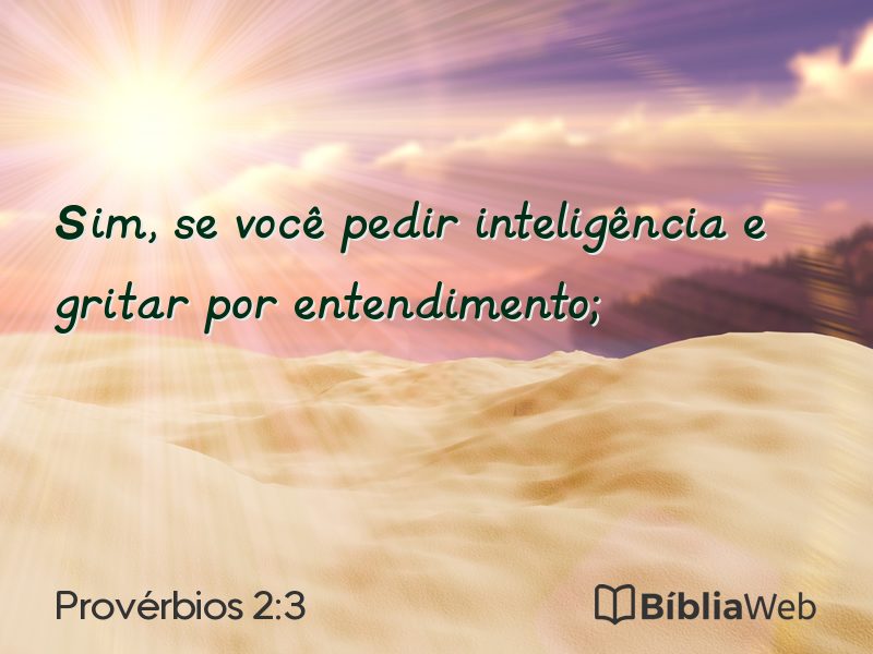 Provérbios 2:3 em imagem para compartilhar