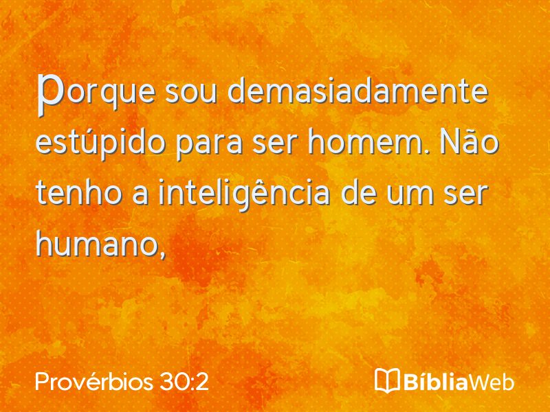 Provérbios 30:2 em imagem para compartilhar