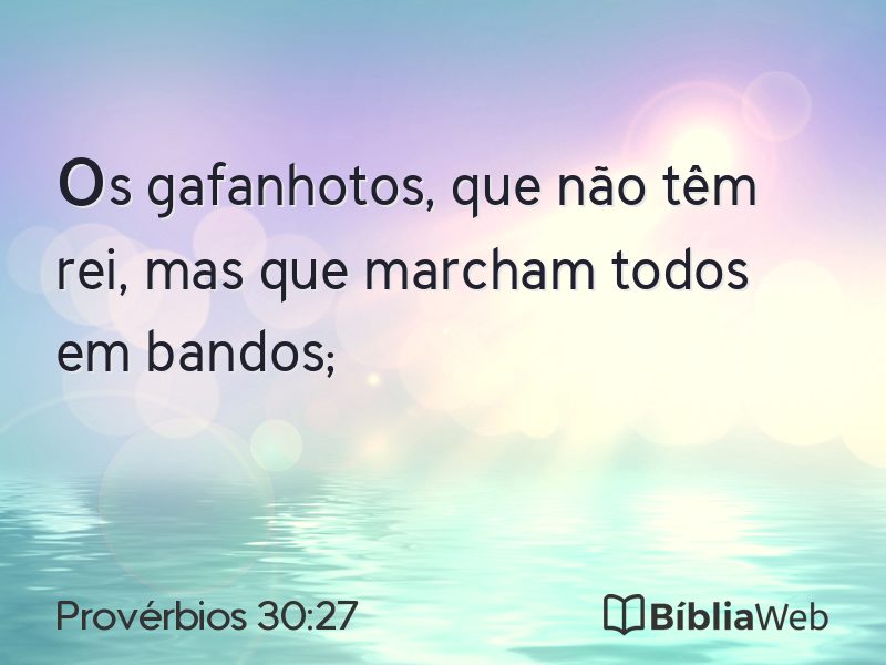 Provérbios 30:27 em imagem para compartilhar