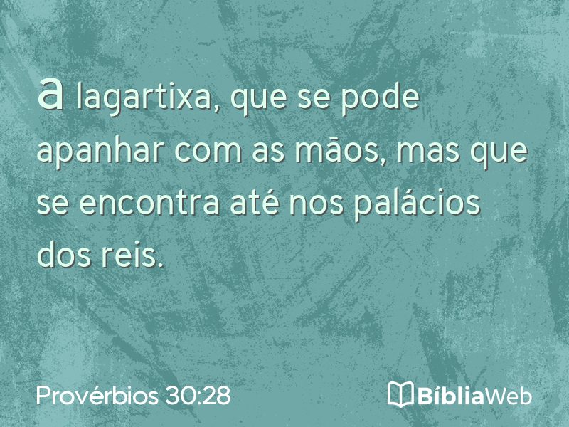 Provérbios 30:28 em imagem para compartilhar