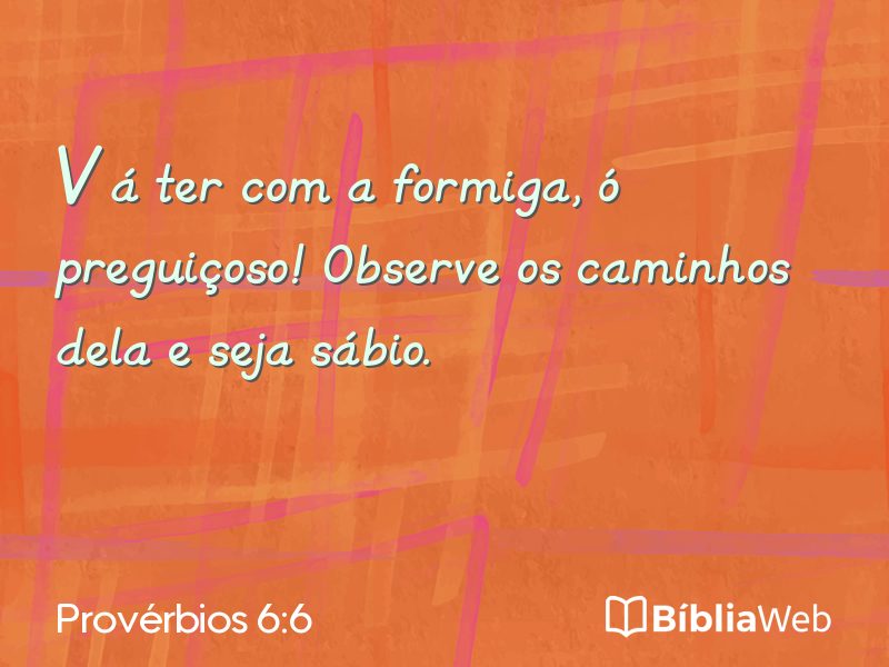 Provérbios 6:6 em imagem para compartilhar