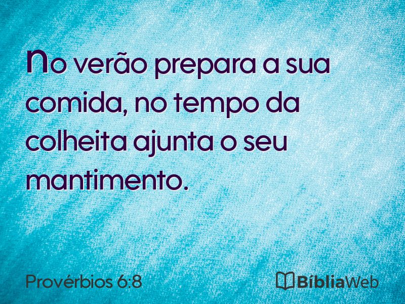 Provérbios 6:8 em imagem para compartilhar