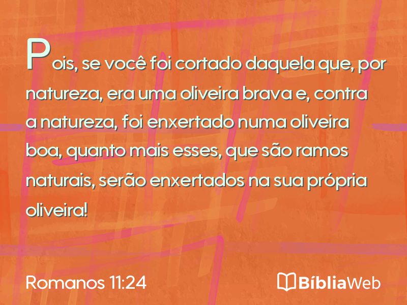Romanos 11:24 em imagem para compartilhar