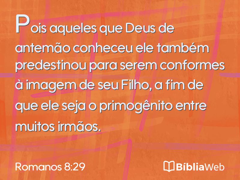 Romanos 8:29 em imagem para compartilhar