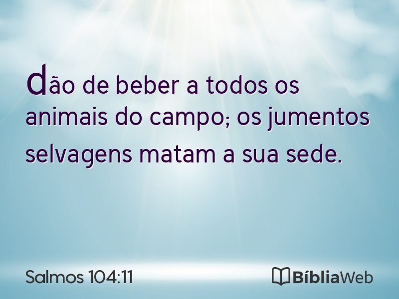 Salmos 104:11 em imagem para compartilhar