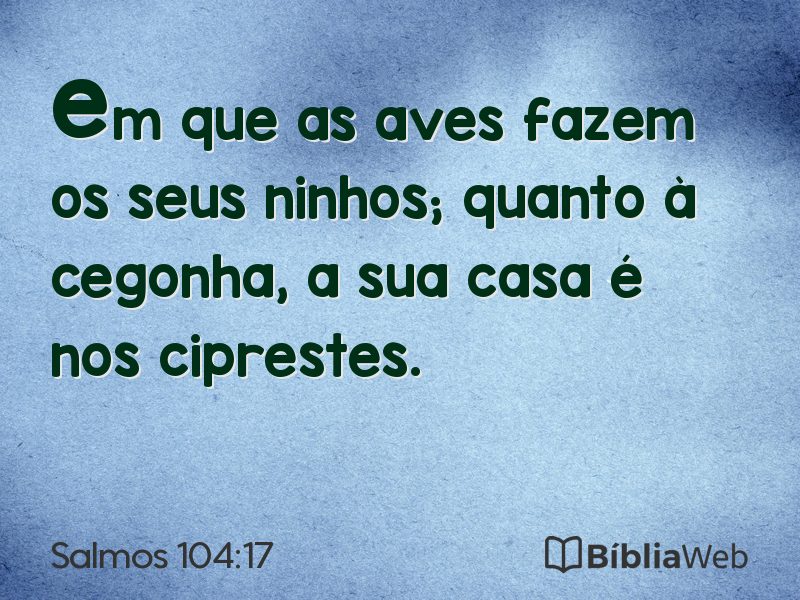 Salmos 104:17 em imagem para compartilhar