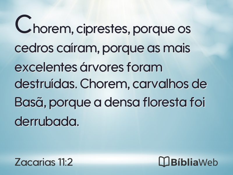 Zacarias 11:2 em imagem para compartilhar
